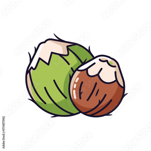 Two coconuts isolated vector illustration