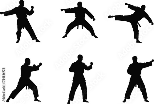Martial arts silhouette vector, karate poses, taekwondo stances, self-defense training, black belt action, combat movement, traditional uniform, fighting illustration
