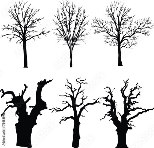 Tree silhouette vector bundle.