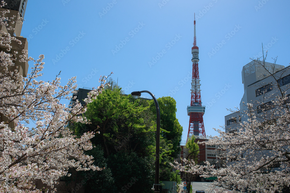 Obraz premium 桜の時期の東京の風景