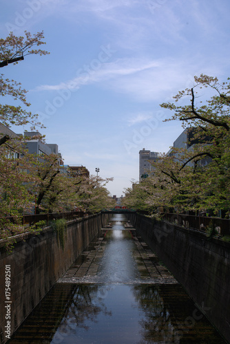 Canvas Print 東京都内の風景