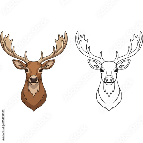 Detailed Deer Head Illustration - Color and Outline Versions.