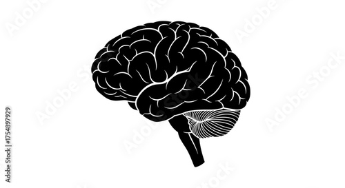 Black silhouette illustration of a human brain on a white background.