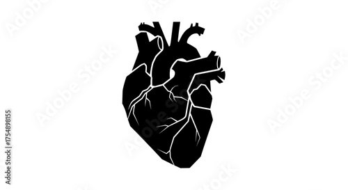 Black silhouette of an anatomical human heart on a white background.