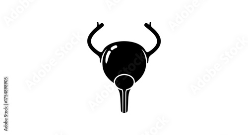 Human Bladder and Prostate Gland Anatomy Icon.