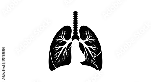 Human lungs icon vector illustration on white background.
