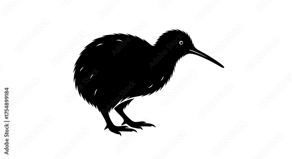 Fototapeta premium Kiwi bird silhouette illustration isolated on a white background.
