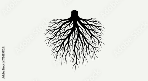 Intricate network of tree roots symbolizing strength and connection.