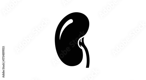 Kidney organ icon black and white medical illustration.
