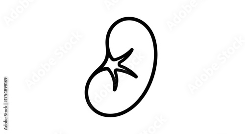 Kidney Icon Human Organ Illustration for Medical Design.