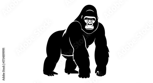 Powerful silverback gorilla standing in a strong pose.