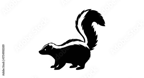 Photos Silhouette of a Skunk with Bushy Tail and Stripes.