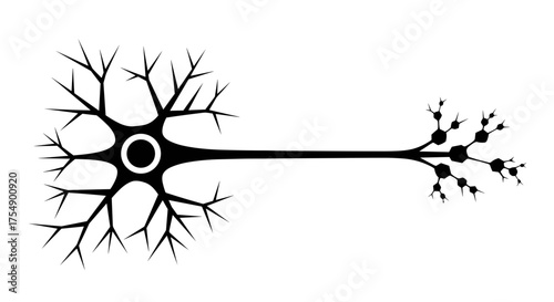 Simple vector illustration of a single nerve cell.