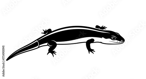 Skink lizard illustration in black and white style.