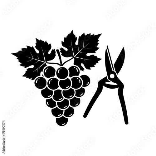 Grapes and Pruning Shears Silhouette – Vineyard Harvest Agriculture Icon Vector