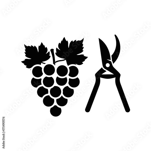 Grapes and Pruning Shears Silhouette – Vineyard Harvest Agriculture Icon Vector