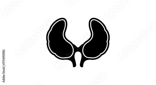 Thyroid Gland Silhouette Anatomy and Medical Illustration.