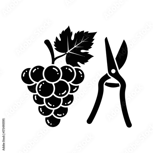 Grapes and Pruning Shears Silhouette – Vineyard Harvest Agriculture Icon Vector