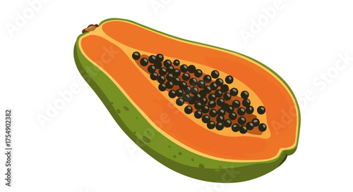 Half Slice of Papaya Fruit with Black Seeds Illustration.