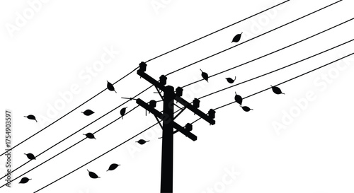 Silhouette illustration of utility pole with power lines and perched birds, minimal urban vector design showing nature harmony, balance, and perspective