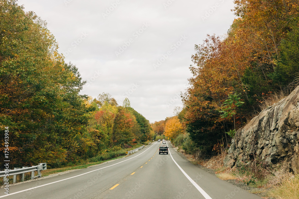 Fototapeta premium Scenic drive through colorful autumn trees along a winding highway