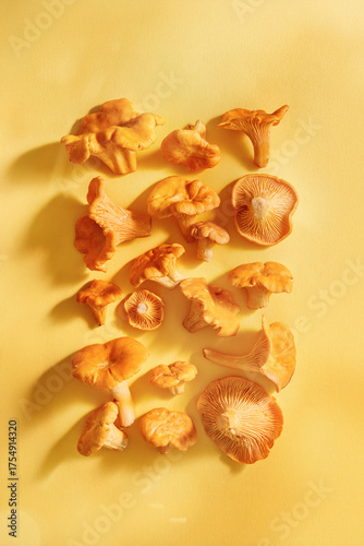 Close up mushroom Chanterelle flat lay, yellow orange color edible healthy fungus on yellow background, minimal vertical aesthetic top view autumn season eat. Natural organic vegetable food pattern.