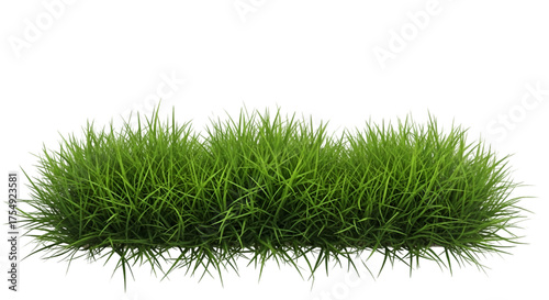 Lush Green Grass Patch on Black Background