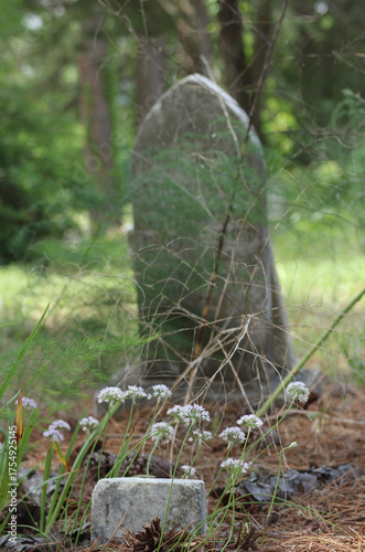 Flowers at Historic Cemetery in Rural East TX Troup City Cemetery