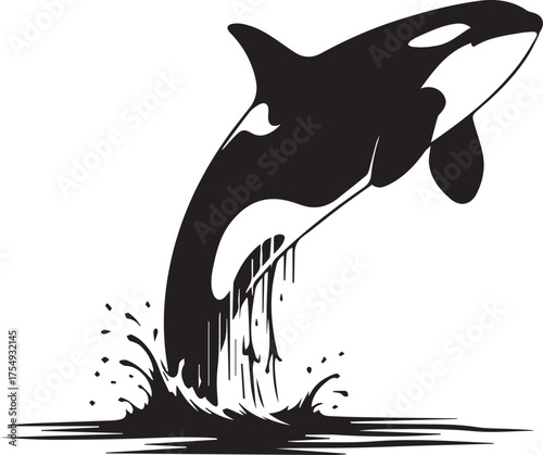Dynamic orca killer whale leaping from water with splashes majestic ocean mammal