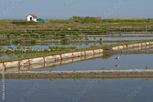 Salt pans and stilts in Aveiro Portugal