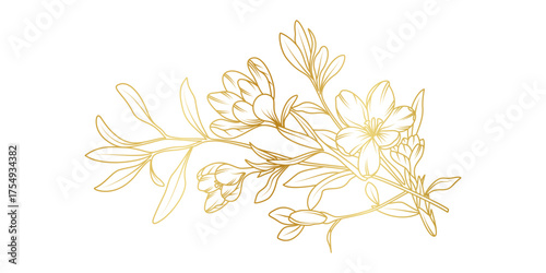 Golden crocus flowers line art isolated on white background. Luxury crocus floral design elements for invitation, wedding, wallpaper, print template, vector illustration