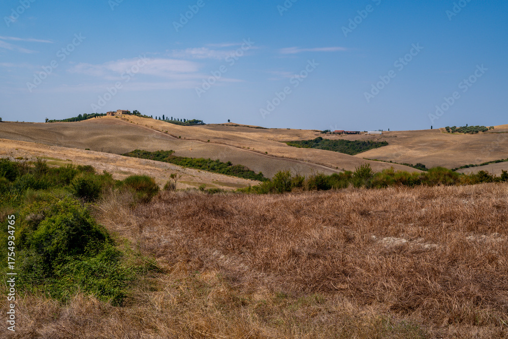Fototapeta premium Golden Summer Hills with Clear Blue Sky