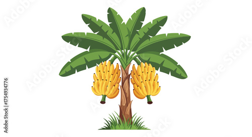 Vector illustration of a vibrant illustration of a banana tree laden with ripe yellow bananas, isolated on a, showcasing tropical fruit
