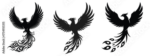 Mythical phoenix bird illustration with vibrant colors