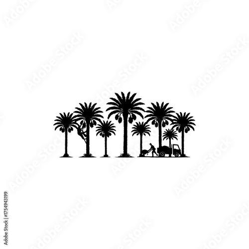 Canvas Print Palm trees and palm groves with elephants and monkeys