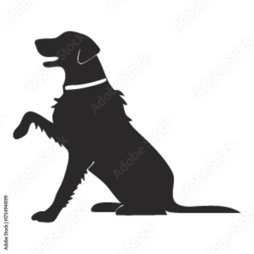 Playful dog sitting up on hind legs with collar