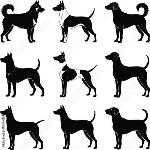 Collection of nine different dog breeds in silhouette black and white illustration