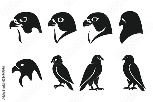 Falcon Icon Set. Solid style icons of Falcon Profiles: peregrine falcon, kestrel head, saker falcon, lanner falcon, sharp profile,