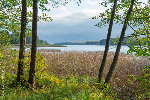 Lake view, a peaceful scenery of autumn in October at the lake Lielezers in Limbazi in Latvia