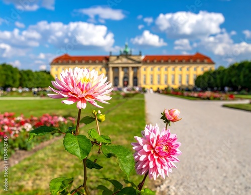 Pink flowers in focus; castle blurred in background on sunny day