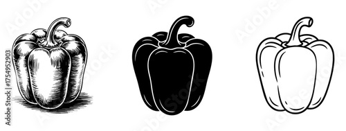 bell pepper set in engraved, silhouette and outline, fresh capsicum vegetable vector illustration 