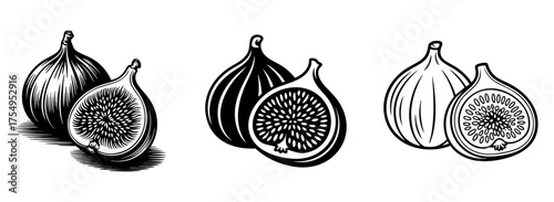 whole and sliced figs vector illustration set in engraved, silhouette and line art 