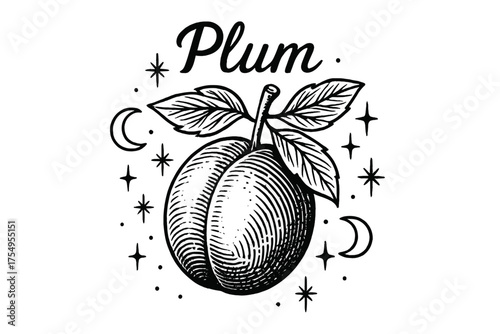 Plum, Moon, and Leaves. Hand-drawn plum with moons, sparkles, and leaves, center word “Plum” in black and white isolated