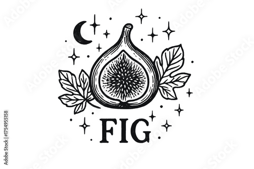 Mystical Fig Illustration. Hand-drawn fig with moons, sparkles, and leaves, center word “Fig” in black and white isolated