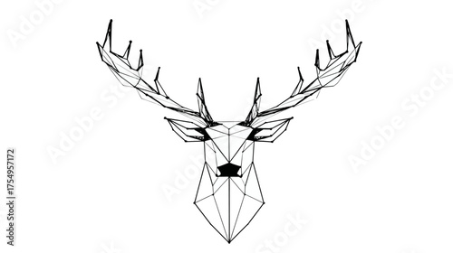 Geometric deer head illustration with intricate polygonal linework on a white background