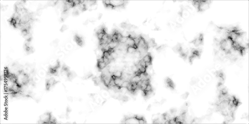 Grungy black and white horse silhouette illustration with a vintage ink splatter border frame on a dirty paper texture background. vector, paint, nature, flower, wallpaper, stain, decoration, grungy