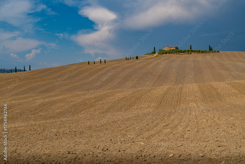 Obraz premium Farmhouse and Cypresses on Sunlit Tuscan Ridge