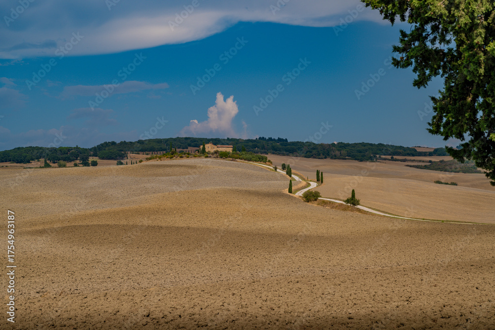 Obraz premium Winding Road to Tuscan Estate on Sunlit Hills