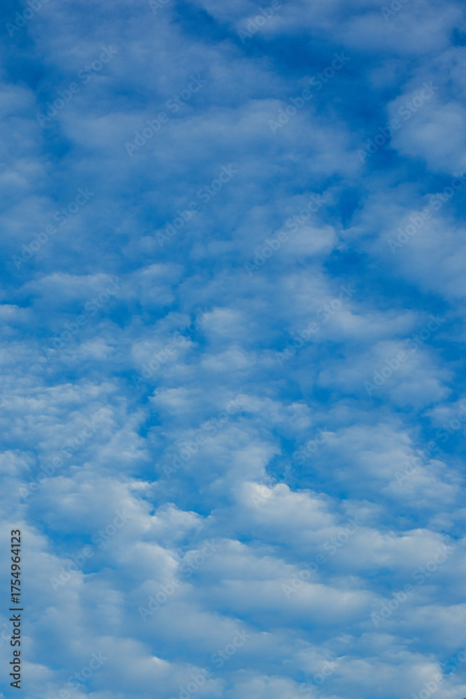 Fototapeta premium Altocumulus Clouds in a Blue Sky