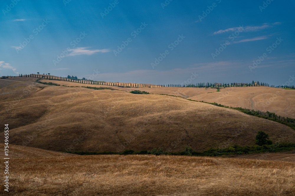 Fototapeta premium Golden Hill with Cypress Alley under Blue Sky, Tuscany